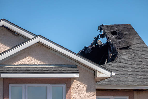Top rated local Firefighting Water Removal specialists in High Bridge, WA